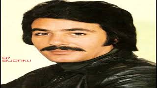 Ferdi̇ Tayfur Gönül Yorgunu Orjinal Plak Kaydı