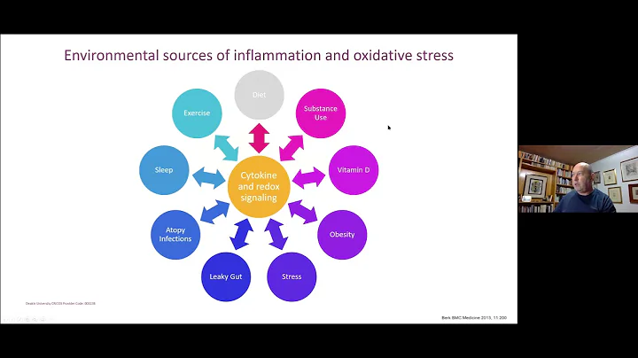 Prevention of Depression - Prof Michael Birk