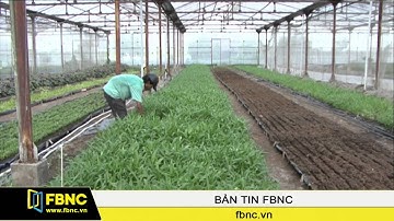 FBNC-Liên kết đầu tư nông nghiệp CNC được vay 70-80% vốn không thế chấp