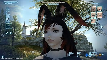 FFXIV Shadowbringers Benchmark - Viera character creation showcase