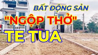 Bất động sản 