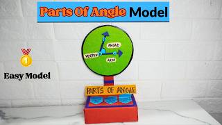 Parts of an Angle Maths Working Model | Angle TLM Project | School Exhibition Model