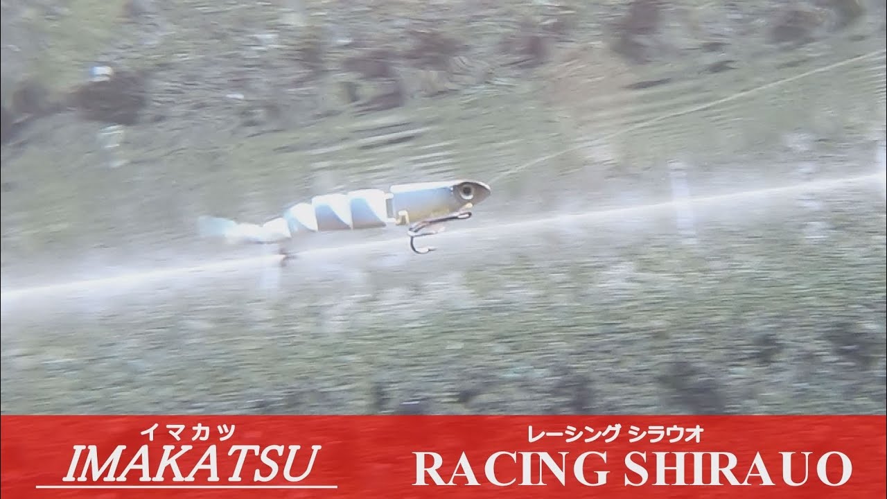 イマカツ　レーシングシラウオ イマカツ レーシングシラウオ レーシングシラウオ / ルアー通販