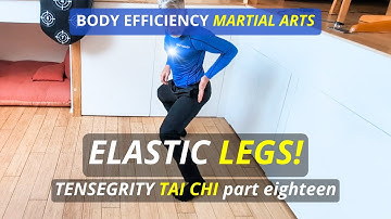 "ELASTIC LEGS!" | TENSEGRITY TAI CHI part 18