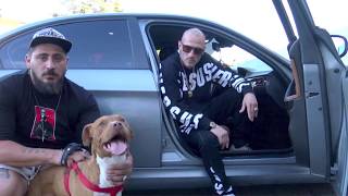 Bandog - IL CAPO (Official video) Resimi