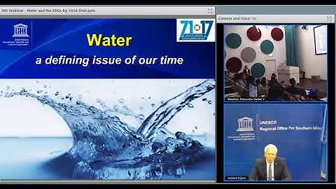 IHE Delft 💧 Alumni Online Seminar: Water and the SDGs: Water for Healthy People & Environment