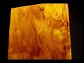 【桑園の】超閃亮 檜木磚 22cm 整塊 黃金磚 大片 極簡木座 木台 S 8113