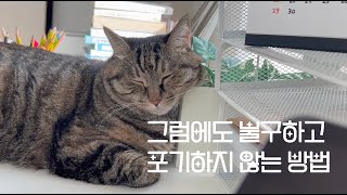 빨간고래의 여름 브이로그 🎀 책 소개 / 귀여운 베티/ 포기하지 않는 방법