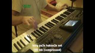 Hakan Çebi Usb Set Kaval Korg Pa3X