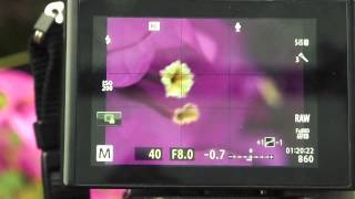 EM 10 RC flash control