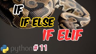 Python#11|if | if else| conditional branching examples