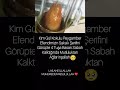 Kim Gül Kokulu Peygamber Efendimizin Sakal-I Şerifini Görüp4 Tuşa Bsan İnşallah Mutluluktan Ağlar 🥹