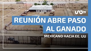 Reunión bilateral abre paso al ganado mexicano hacia EE. UU.: puntos clave
