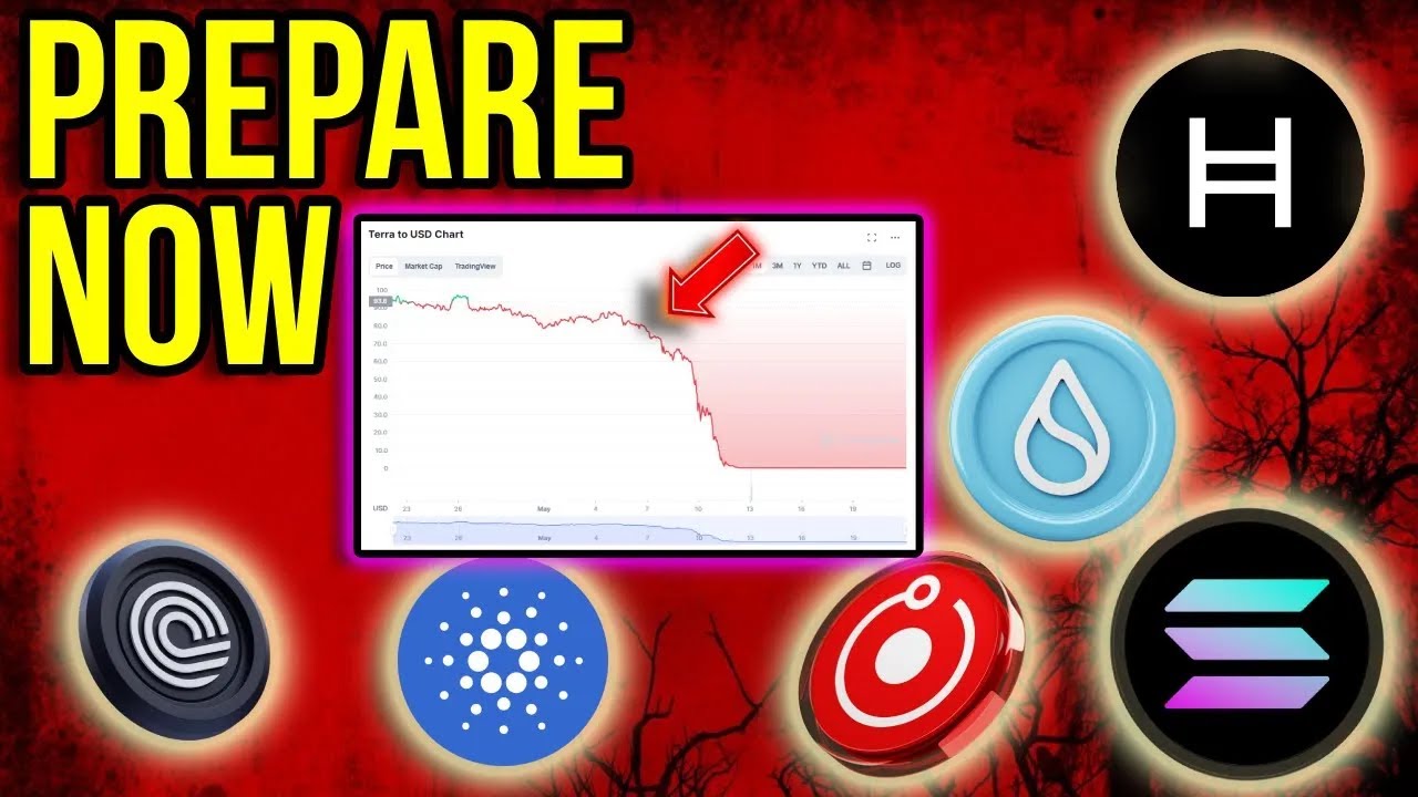probably the most important bull run video you'll ever watch