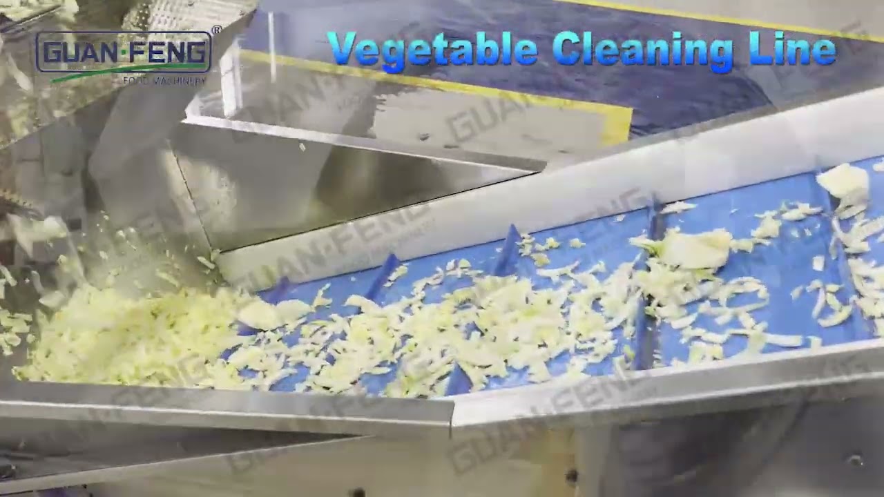 Vegetable cleaning line GUANFENG