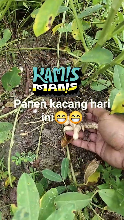 #fypyoutube #janganlupaberbuatbaikhariini #janganlupasubscribe #motivasi