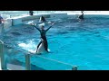 ◆鴨川シーワールド　シャチパフォーマンス（2019．06．16）10：00~ ◆