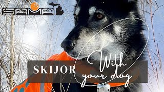 How to Skijor with your dog