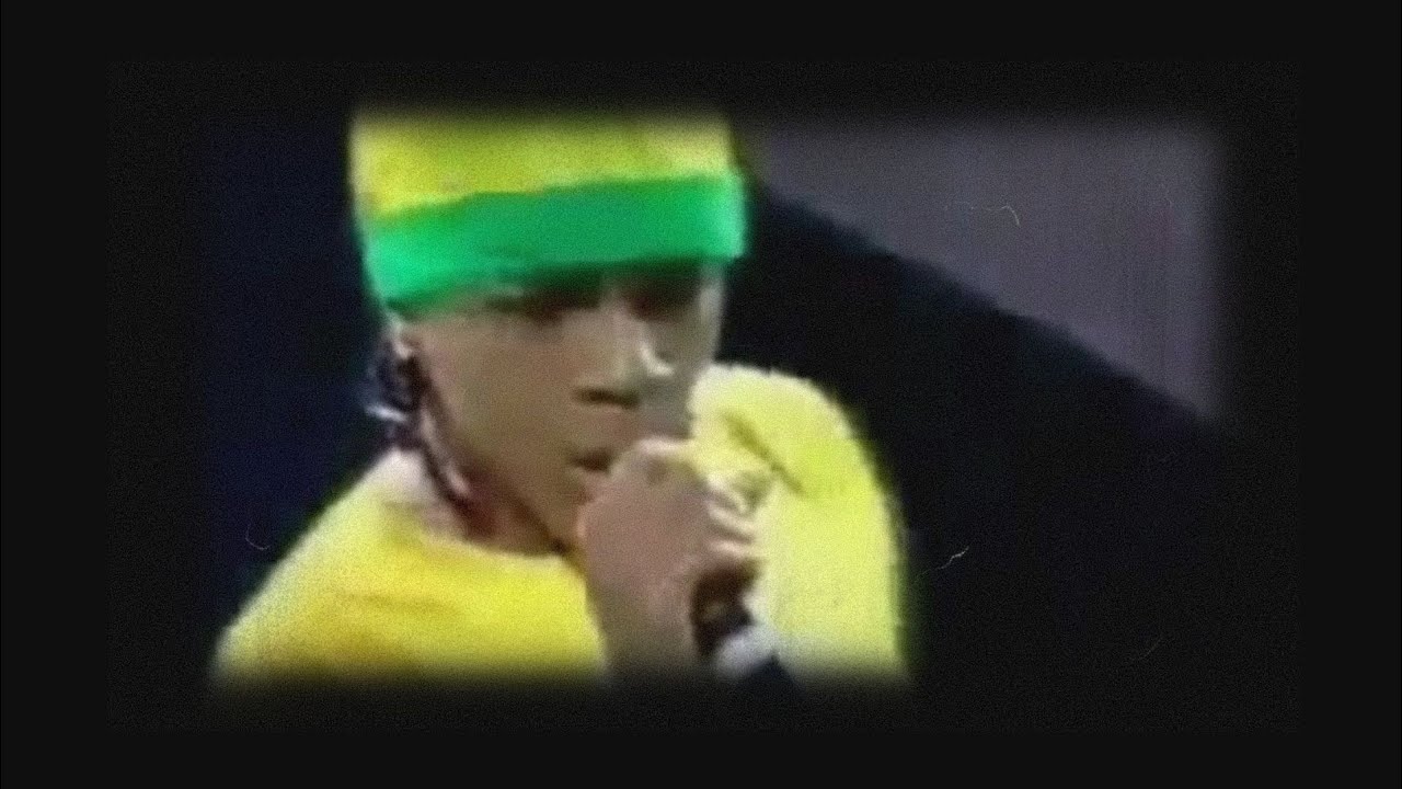 Lil' Bow Wow | 2002 SCREAM TOUR II