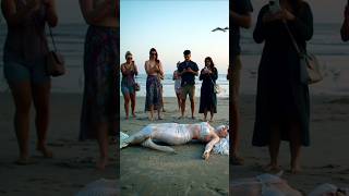 The Water Fairy Was Died By People Jalpori