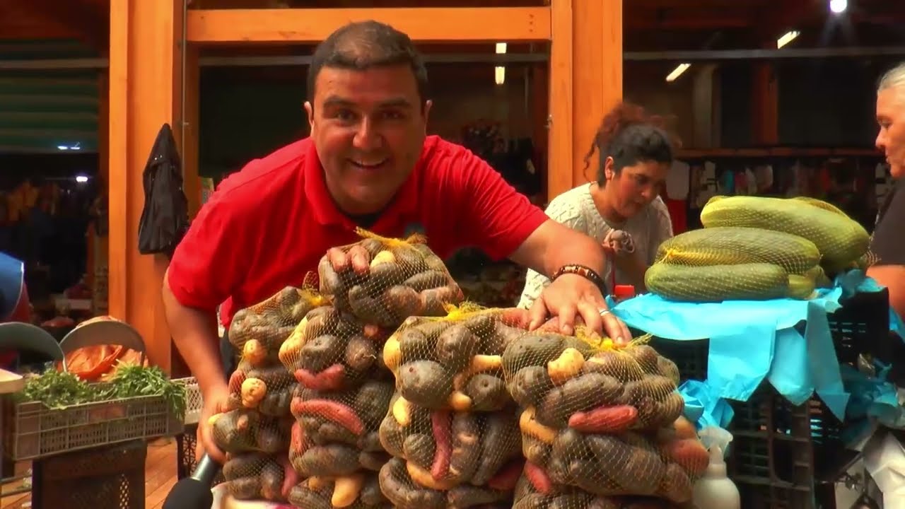 DULCE PATRIA CAP CASTRO 2024