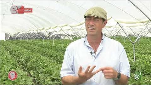 Programa #EnRed: ec2ce