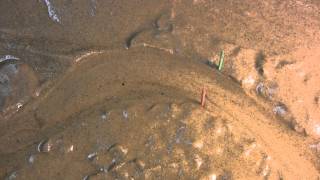 Stream Channel Demo- Meander