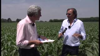 Agricoltura Conservativa: risparmio di acqua e azoto in falda con la subirrigazione