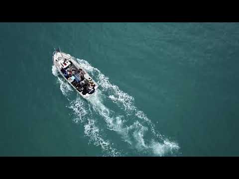 Pesca del sonso. (Arenys de Mar)