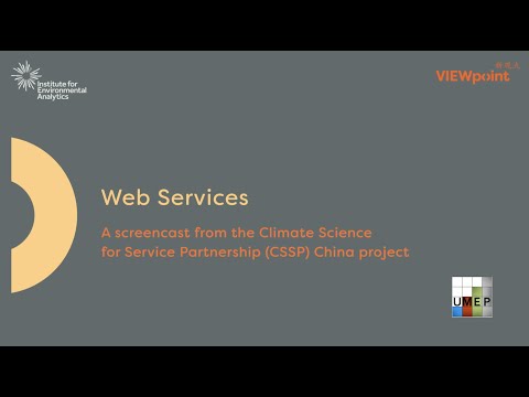 7. Web Services