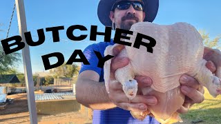 Butcher Day!