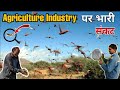 2020 में Agriculture Industry पर भारी संकट | टिड्डे | grasshopper | farmer | video in Hindi