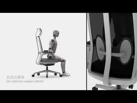 Butterfly office chair with lumbar support feature