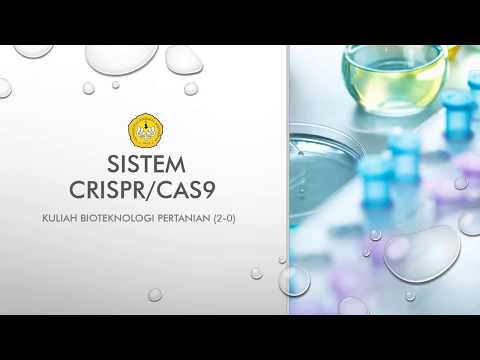 Video: Meningkatkan Kekebalan Tanaman Dengan CRISPR / Cas