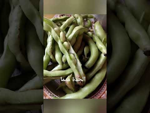 هل أنت على دراية بالفوائد المذهلة للفول العريض       