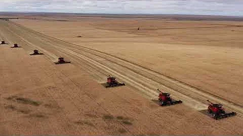 Canadian Harvest 2021 has begun