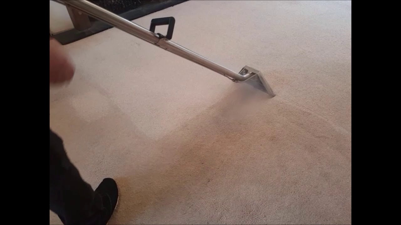Carpet Cleaning In Southampton YouTube