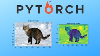 Pytorch Data Augmentation using Torchvision