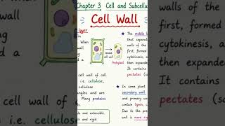 Structure of cell wall 🧱|| Complete lecture