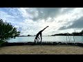 Sunrise Silhouette Stretch | Morning Wake Up Routine