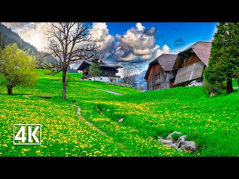 видео: Switzerland 🇨🇭 Saanen, a charming Swiss village