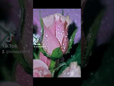 А возраст мужчины не так уж и важен #shorts