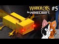 The CURSED Axolotl | Warrior Cats in Minecraft HARDCORE SMP: Episode 5