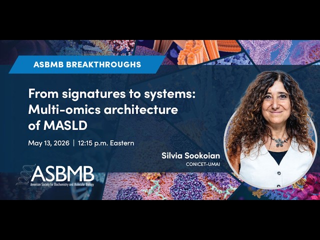From signatures to systems: Multi-omics architecture of MASLD