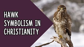 Hawk Symbolism In Christianity | Hawk Symbolism In The Bible | Hawk Symbolism In Dreams