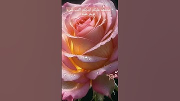 فواتح سوره الصف بصوت الشيخ فارس عباد #يوتيوب