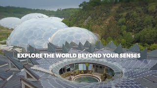 Invisible Worlds exhibition - Eden Project