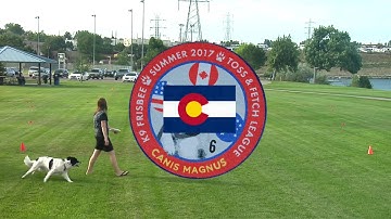 Katie and Mira K9 Frisbee Toss and Fetch League