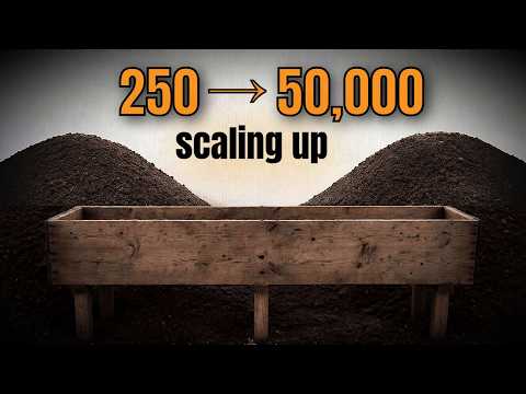 Scaling Up a Compost Worm Population (250 to 50,000)