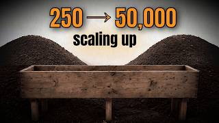 Scaling Up a Compost Worm Population (250 to 50,000)
